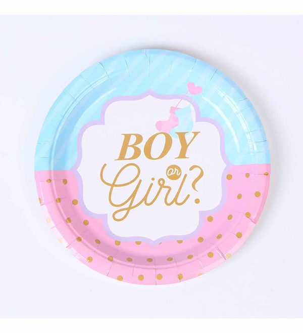 Paper lunch plates with boy or girl