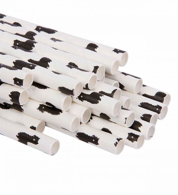 Paper straws with cow