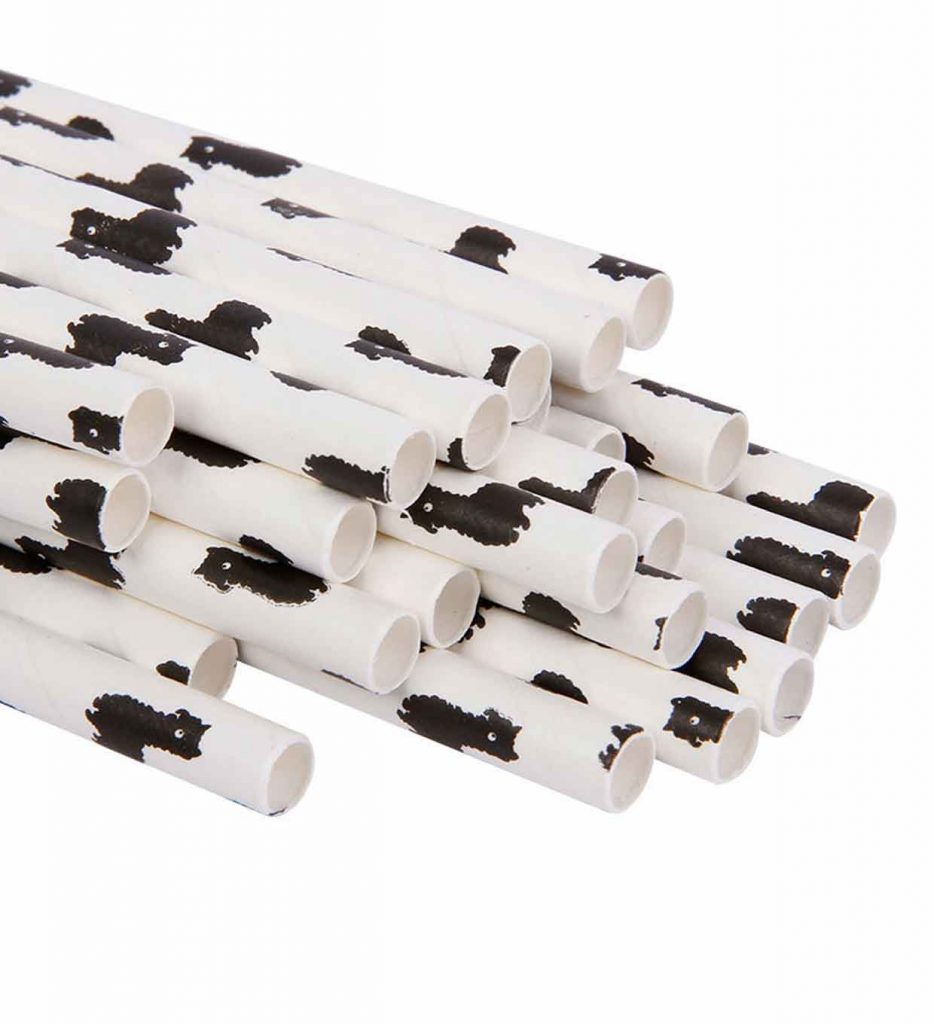 Paper straws with cow